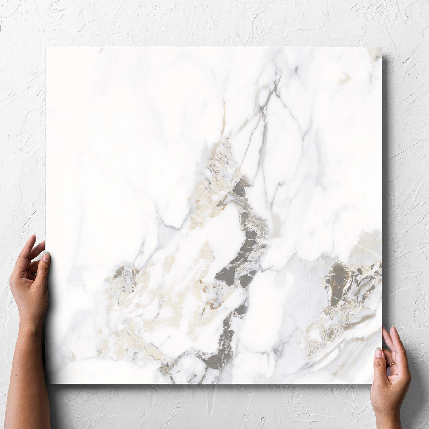 Calacutta Oro Polished 600x600mm