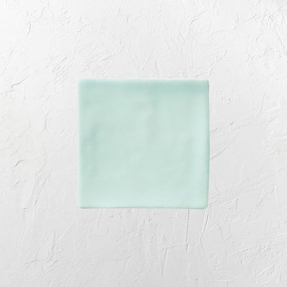Luxe Mint 100X100mm Matt