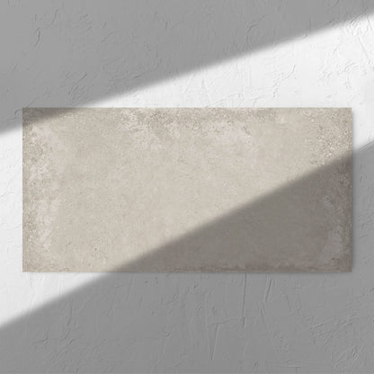 Evoke Light Grey Natural Rectified 60x120mm