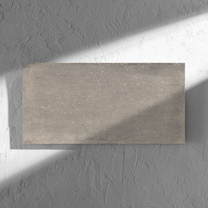 Salamanca Light Grey External 300x600mm