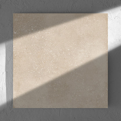 Salamanca Beige Matt 500x500mm