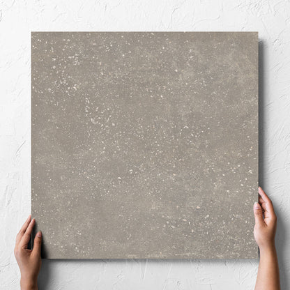 Salamanca Light Grey Matt 500x500mm