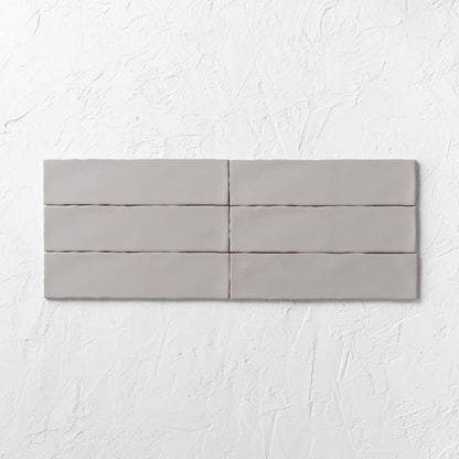 Zen Gloss Grey Subway Tiles 75x300mm